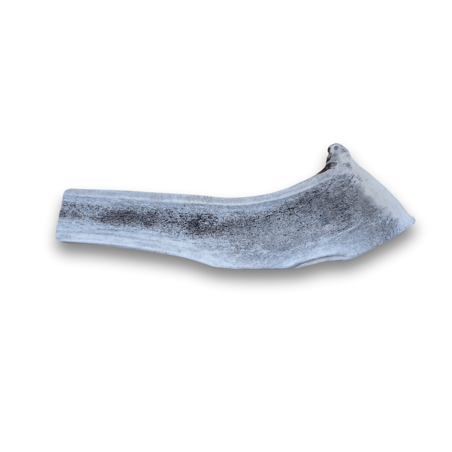 Split Elk Antlers for Dogs