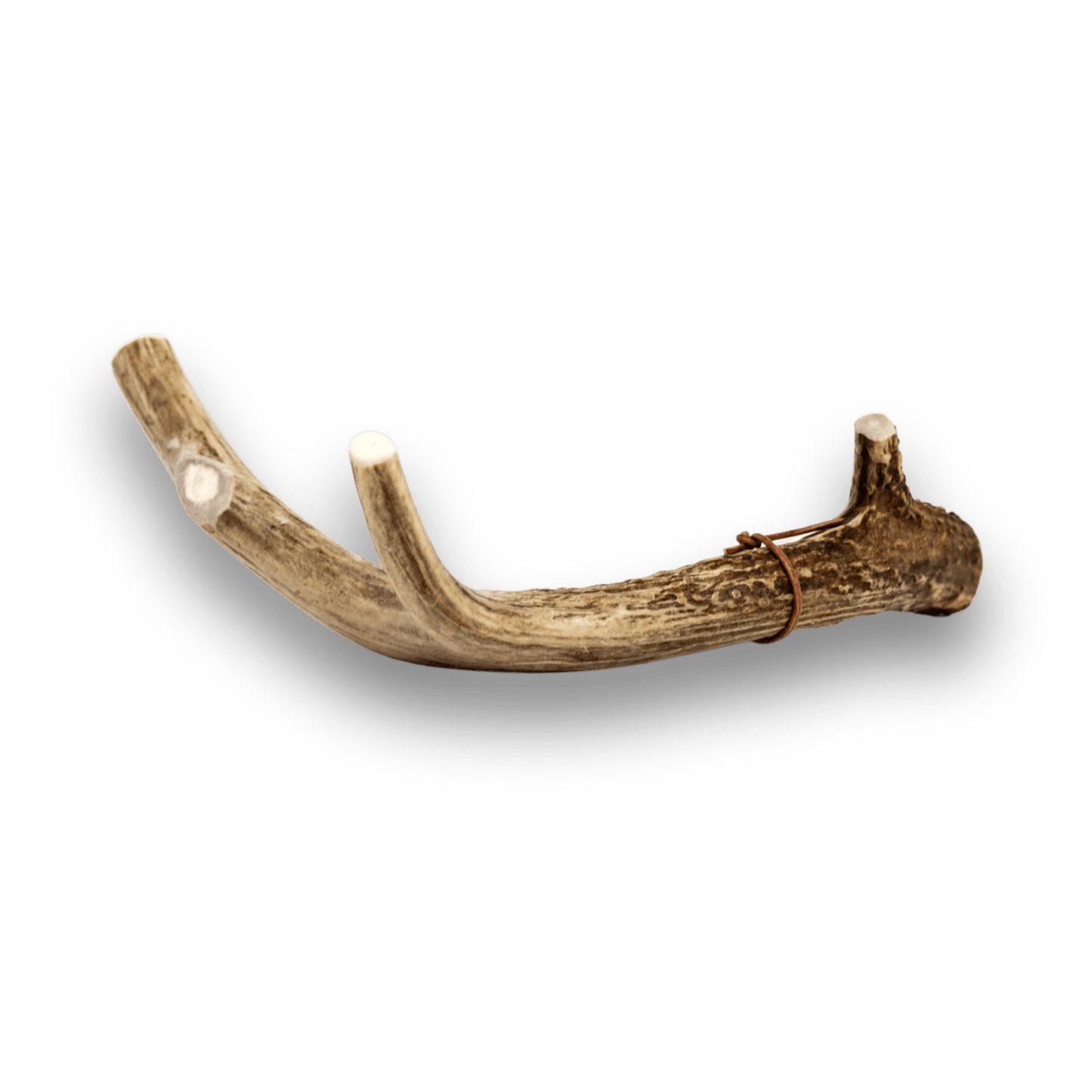 Deer Antlers for Dogs