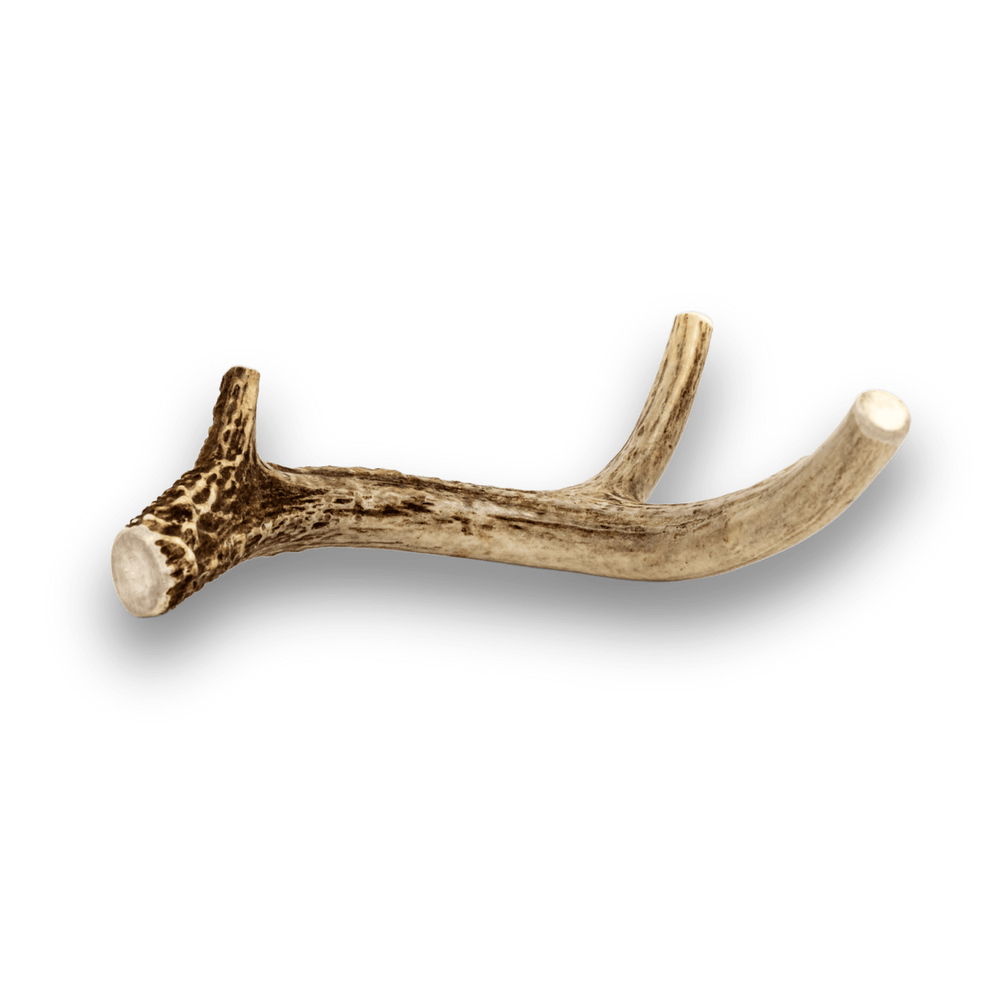 Deer Antlers for Dogs