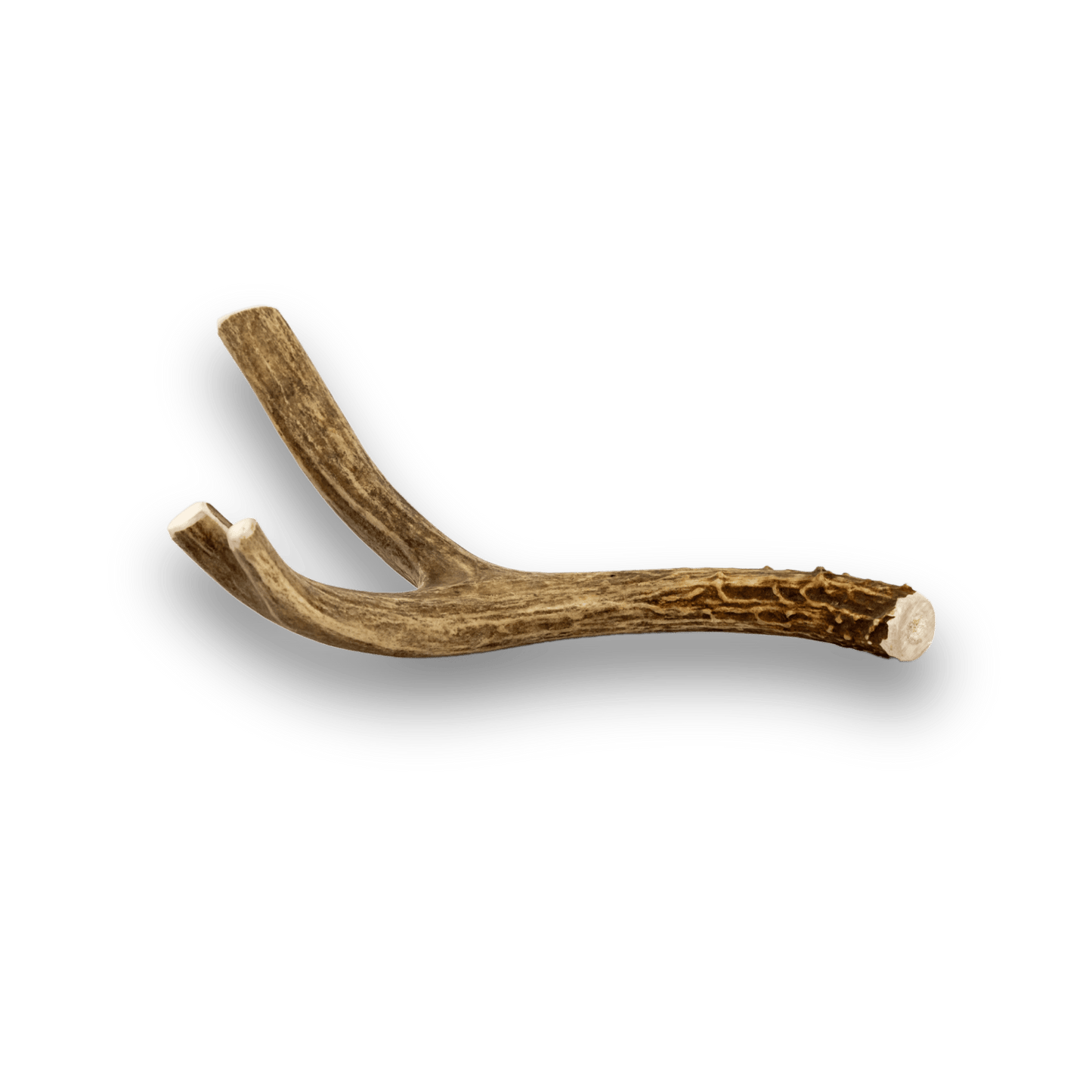 Deer Antlers for Dogs
