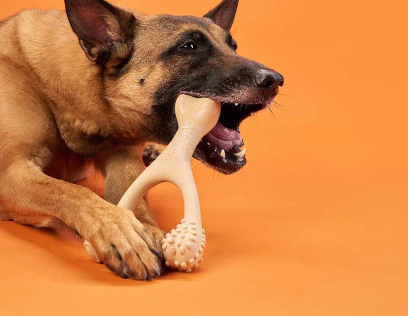 BetterBone Hard Classic Dog Chew Toy Large