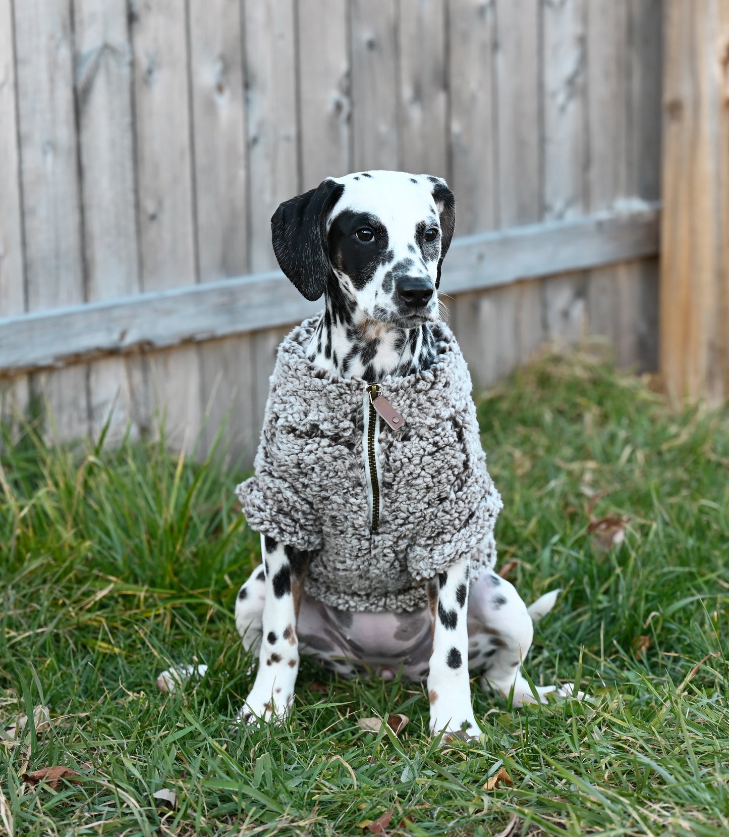 Sunny Fleece Quarter Zip Pullover