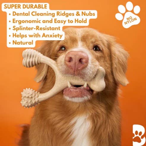 BetterBone Hard Classic Dog Chew Toy Large