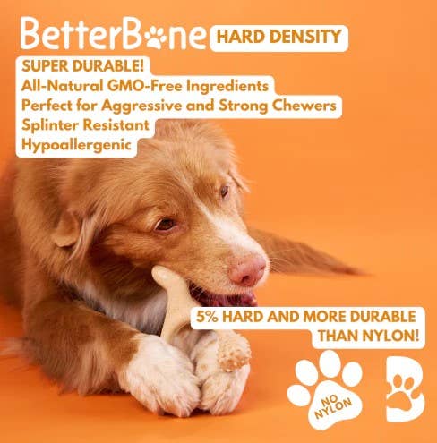 BetterBone Hard Classic Dog Chew Toy Large