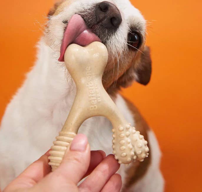 BetterBone Soft Classic Dog Chew Toy Mini